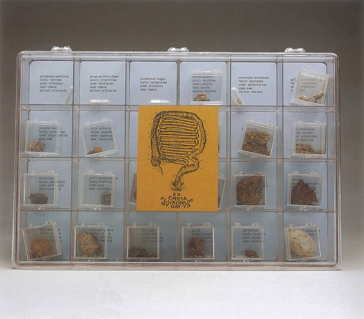 fig. 5: George Maciunas, Excreta Fluxorum, 1973/1978. Plastic box with offset label, containing objects in various media with offset labels.  Gilbert and Lila Silverman Fluxus Collection Gift, Museum of Modern Art, New York, 2526.2008.a-ww. By permission of Billie J. Maciunas, PhD. 