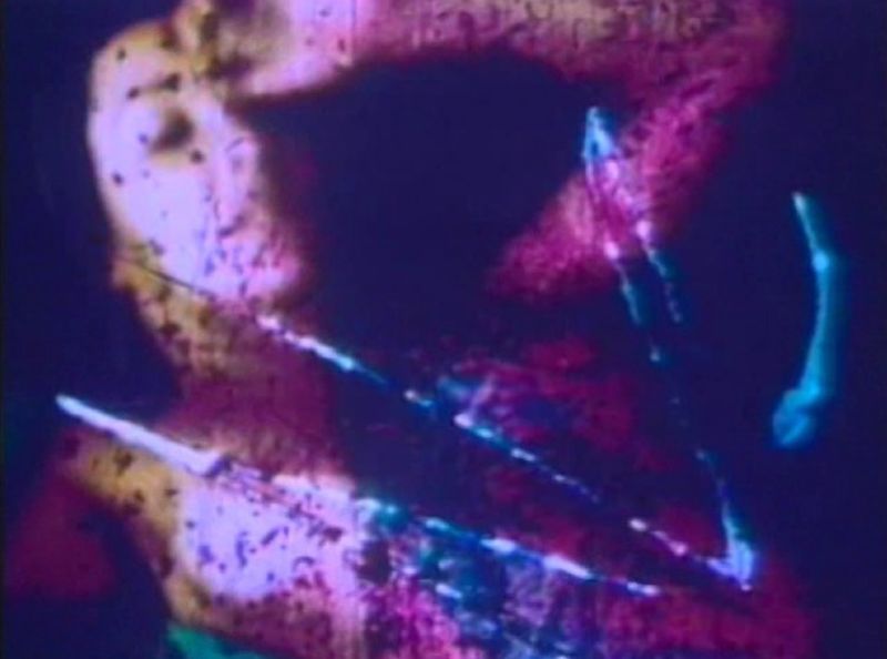 Carolee Schneemann, Fuses, 1965
