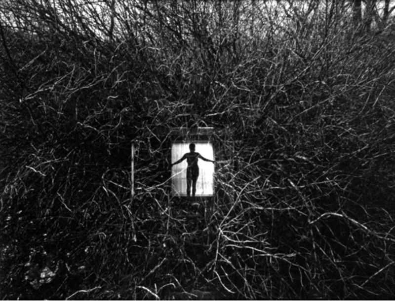 Harry Callahan, Eleanor, 1951, 1951