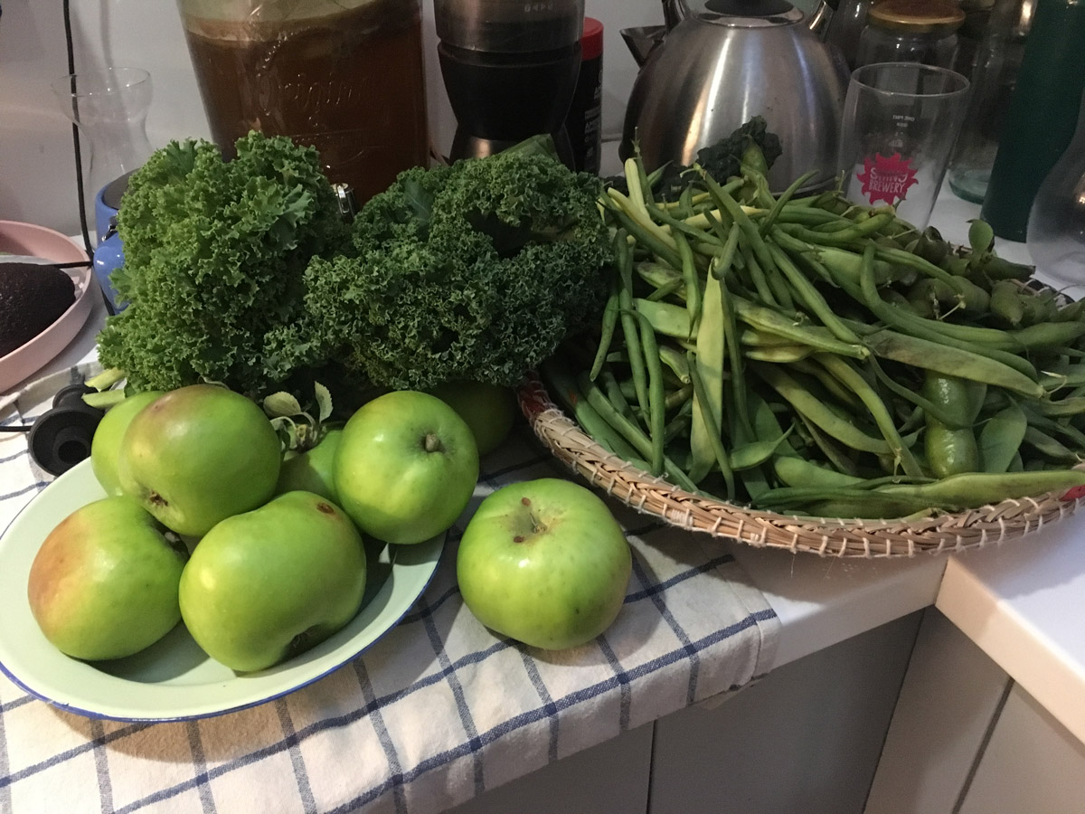 harvest, 2020