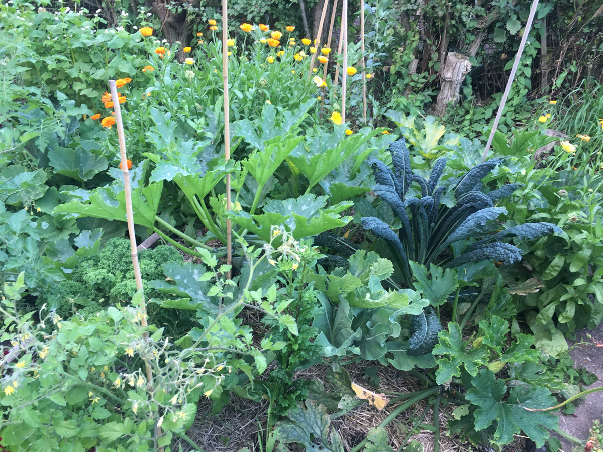 la Sala allotment 2020