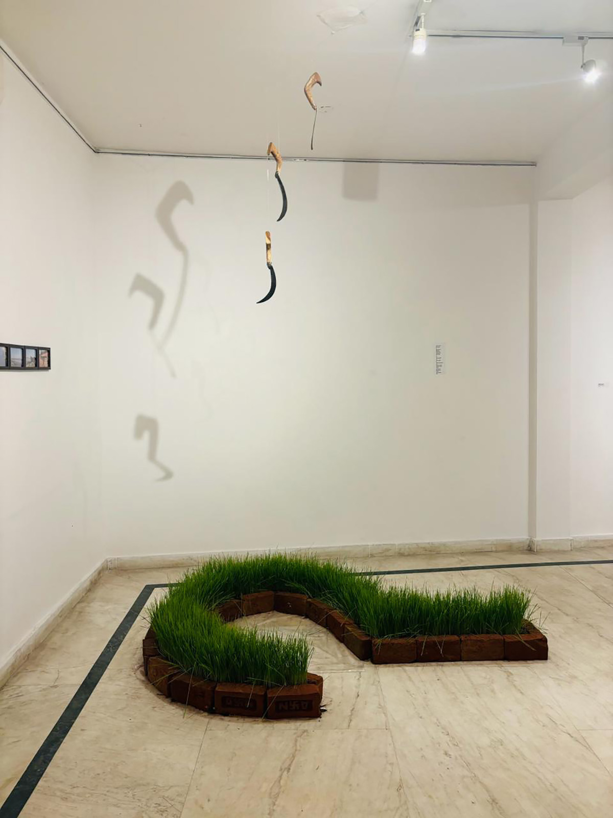 Mumkin Zameen/Possible Lands. The exhibition, Installation shots, NIV Arts Centre, Delhi, 2024