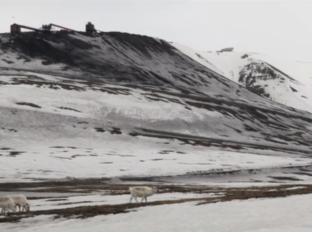 The New Mineral Collective, Hollow Earth, 22:27, stills from video, 2013