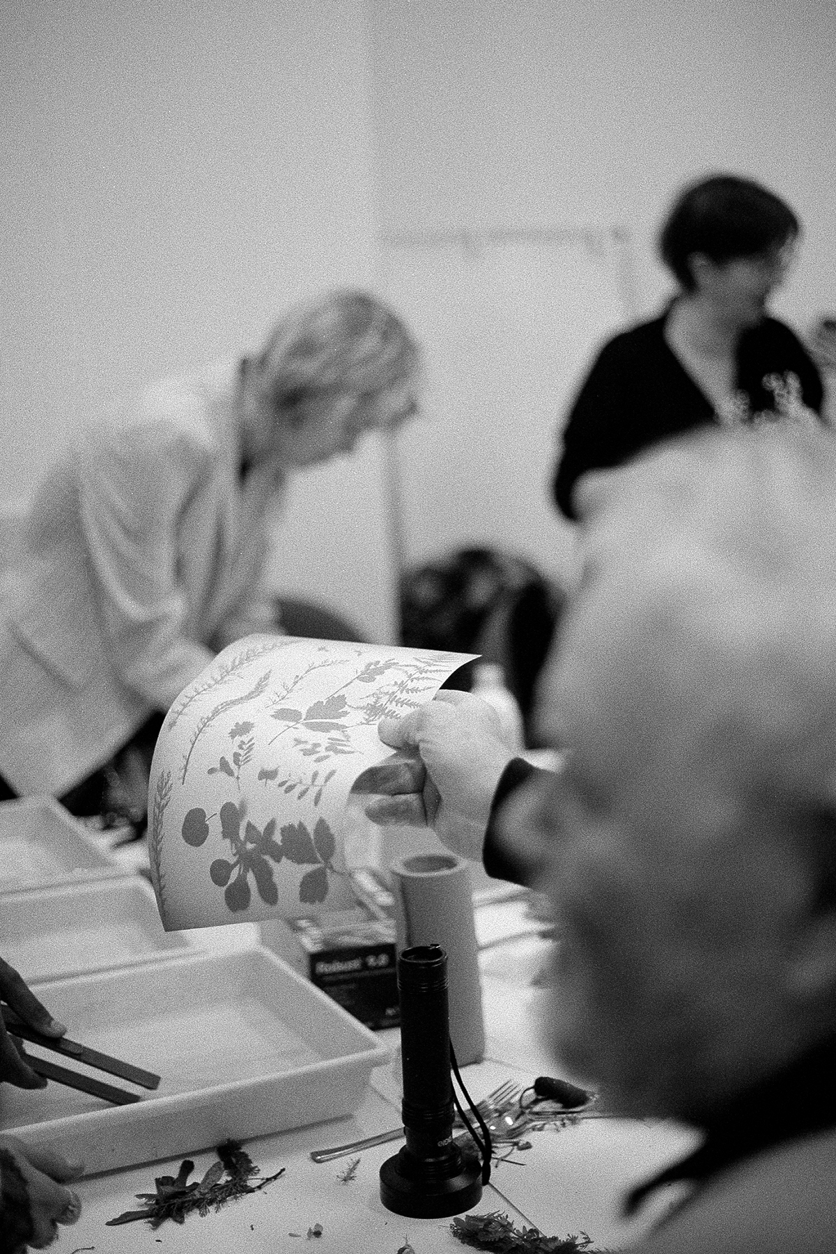 Cyanotype and digital photography public workshops  at 422, led by students and tutors from Manchester Metropolitan University as part of the project’s participatory development process