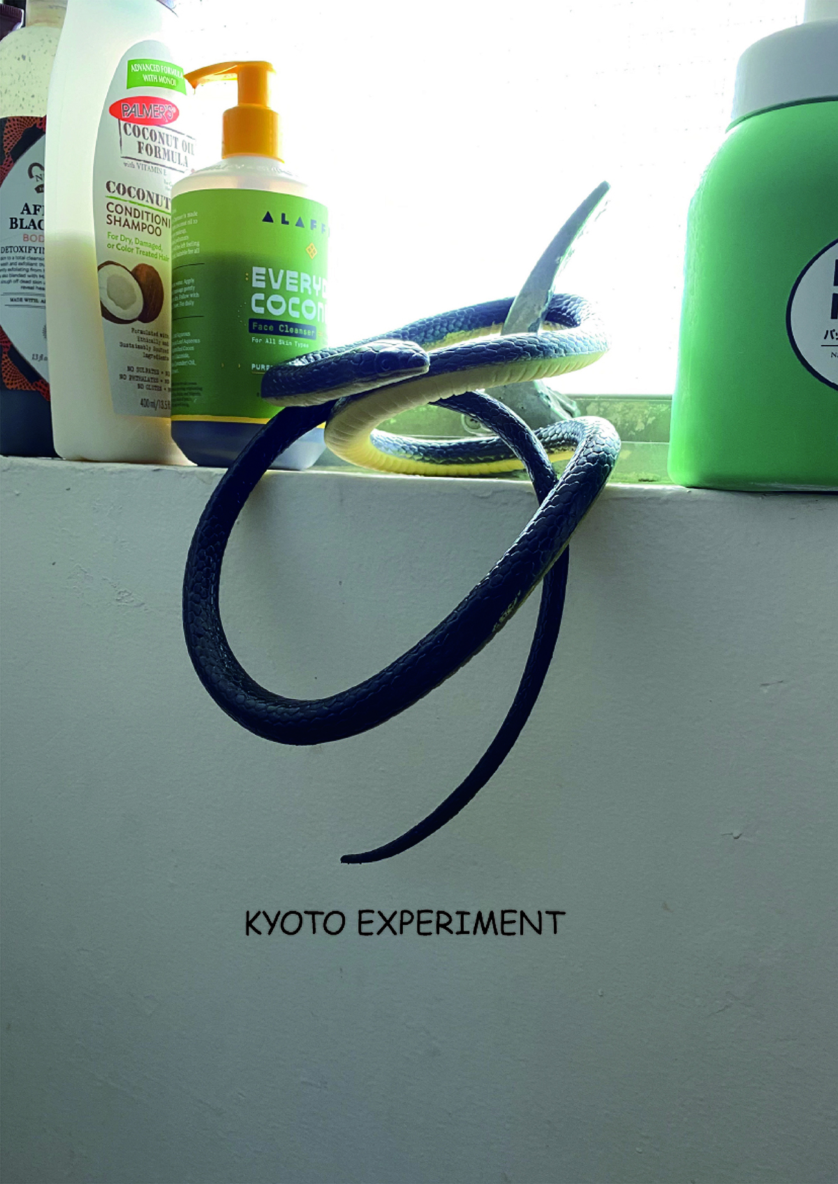 A Photo by Kyoto Experiment