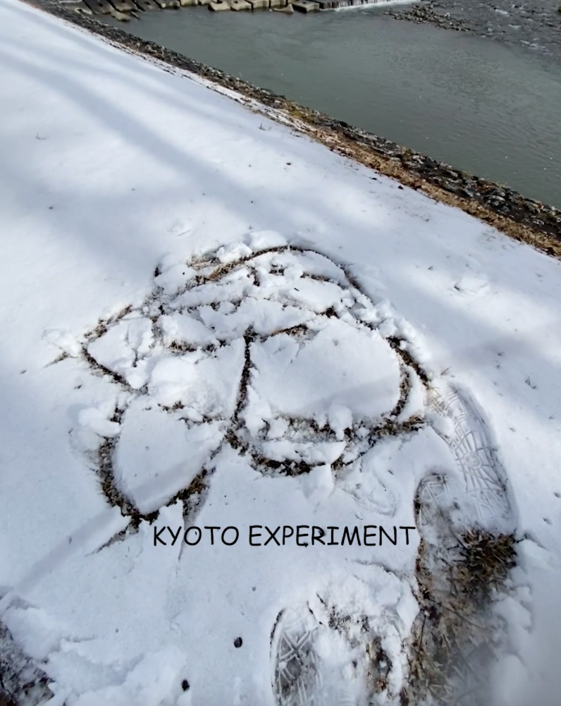 A Photo by Kyoto Experiment